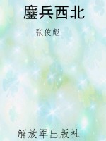 鏖兵西北