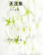 天涯集