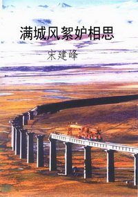 满城风絮妒相思