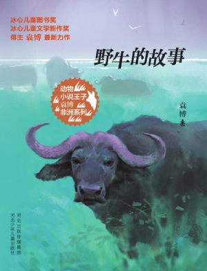 野牛的故事