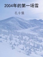 2004年的第一场雪