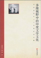 多维视野中的印度文学