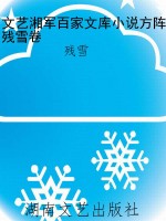 文艺湘军百家文库小说