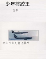 少年摔跤王