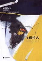 飞蛾扑火