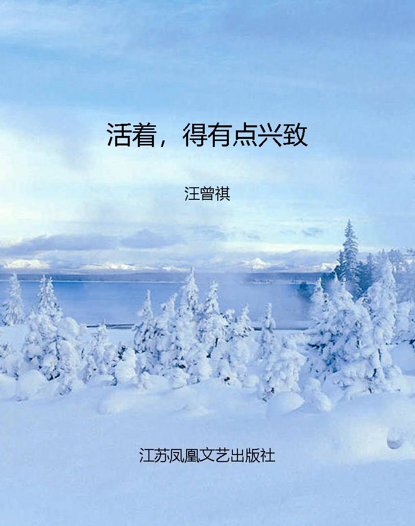 活着，得有点兴致