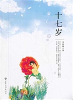 十七岁
