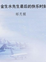 金生水先生最后的快乐