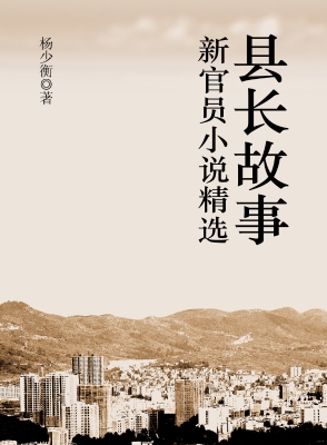 县长故事：新官员小说精