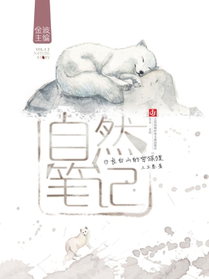 长白山的雪狐狸