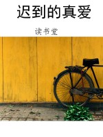 迟到的真爱