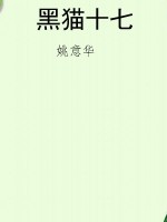 黑猫十七
