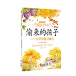 偷来的孩子