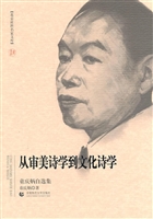 从审美诗学到文化诗学