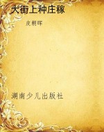 大街上种庄稼