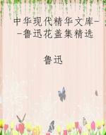 中华现代精华文库--鲁