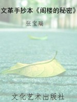 文革手抄本《阁楼的秘