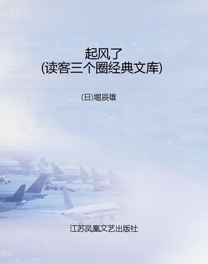 起风了（读客三个圈经典