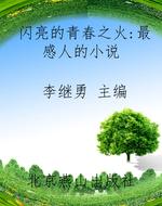 闪亮的青春之火：最感人