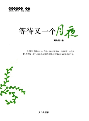 等待又一个月夜