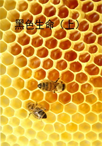 黑色生命（上）