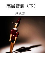 高层智囊（下）