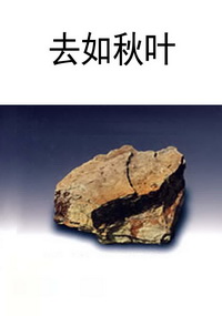 去如秋叶