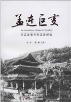 孟连巨变