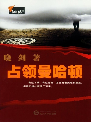 占领曼哈顿