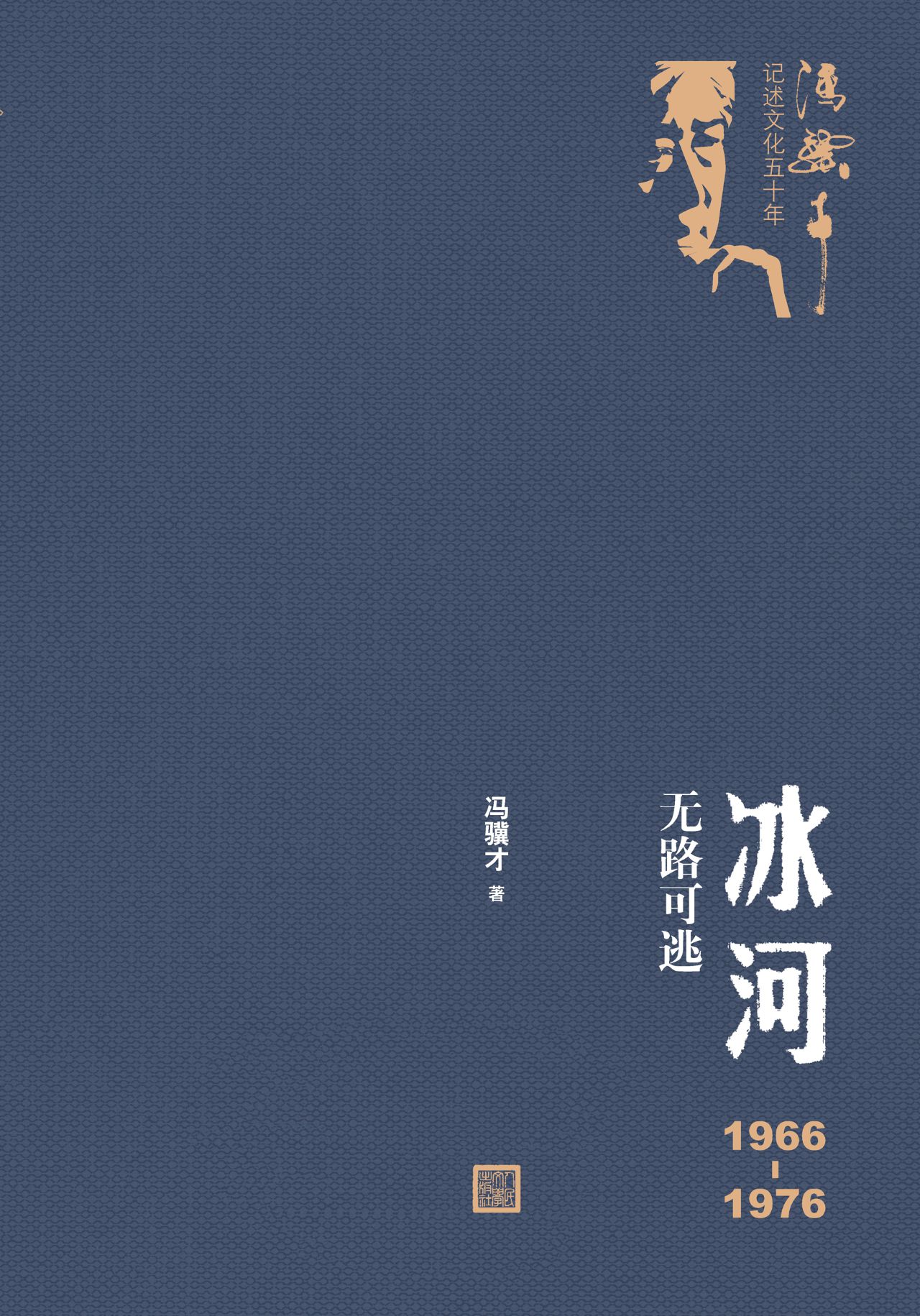 冰河：1966—1976无路可