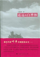 遥远的白桦林