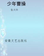 少年曹操