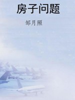 房子问题