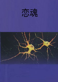 恋魂