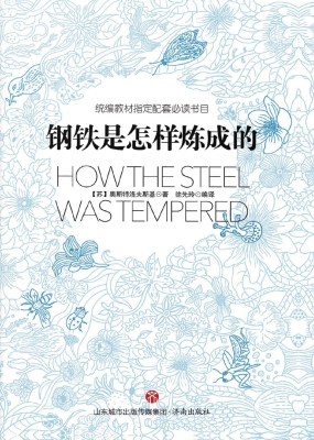 钢铁是怎样炼成的