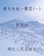 楚天升起一颗星(一)