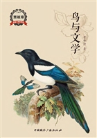 鸟与文学