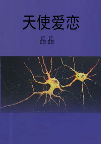 天使爱恋