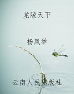 龙陵天下