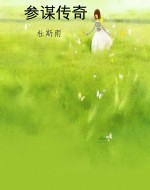 参谋传奇