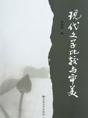 现代文学比较与审美