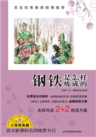 钢铁是怎样炼成的