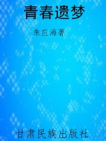 青春遗梦