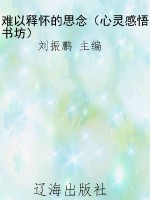 难以释怀的思念（心灵感