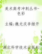美术高考冲刺丛书-色