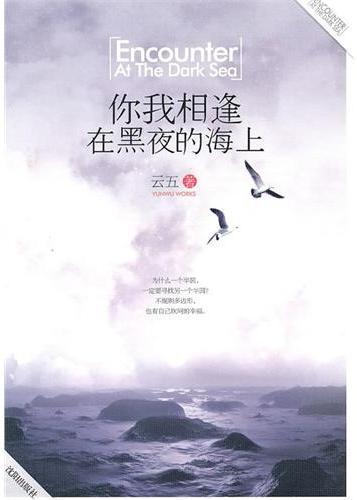 你我相逢在黑夜的海上