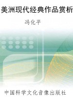 美洲现代经典作品赏析