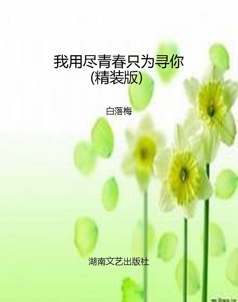 我用尽青春只为寻你（精