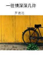 一往情深深几许