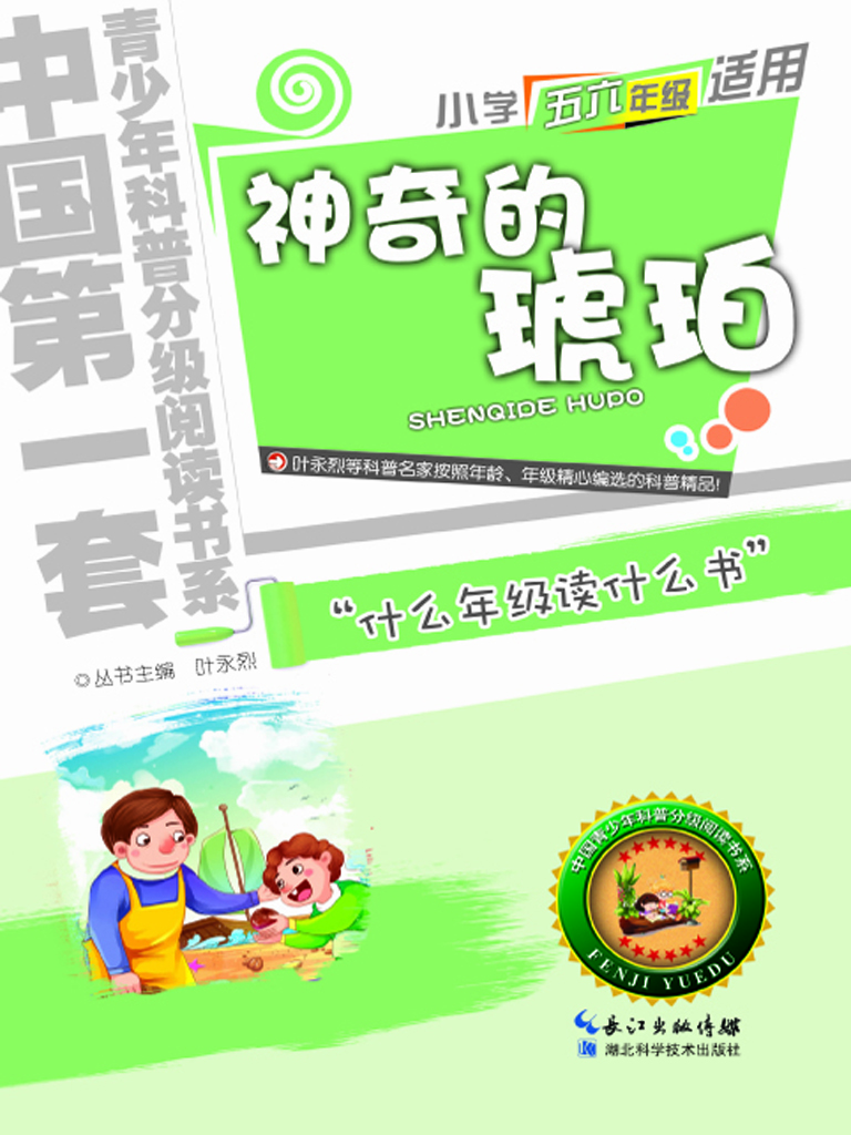 神奇的琥珀